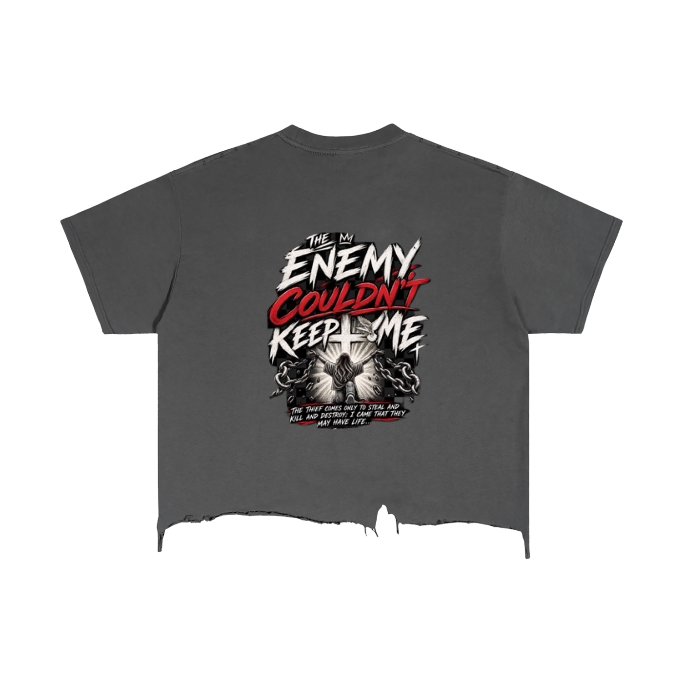The Enemy Could Not Keep Me — Vintage Wash Distressed Tee