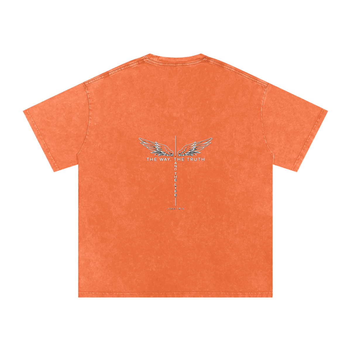 The Way The Truth The Life Unisex Snow Washed Tee